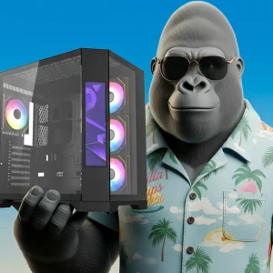 PC CUSTOM - "ZURATRIX-V2" - RYZEN 5 5500X3D + RTX 5050